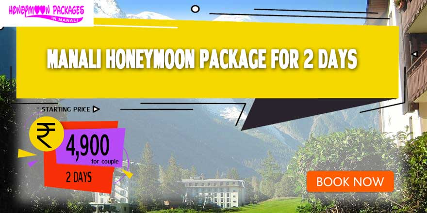 Manali couple Package for 2 days