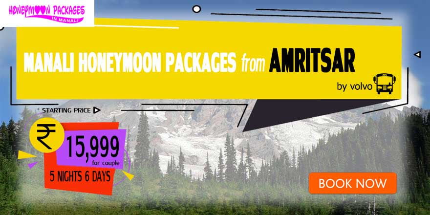 Manali couple package from Amritsar