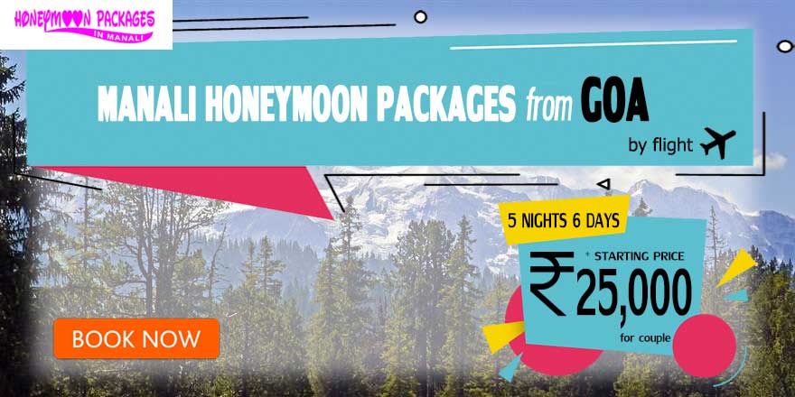 Manali couple package from Goa