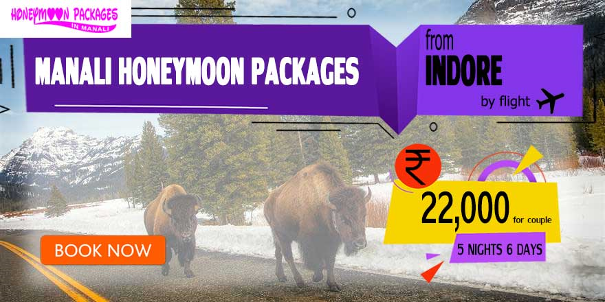 Manali couple package from Indore
