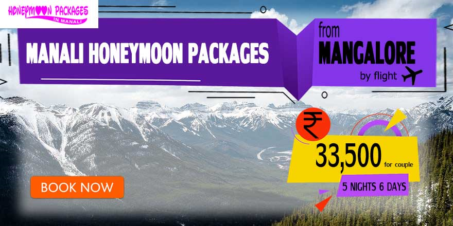 Manali couple package from Mangalore