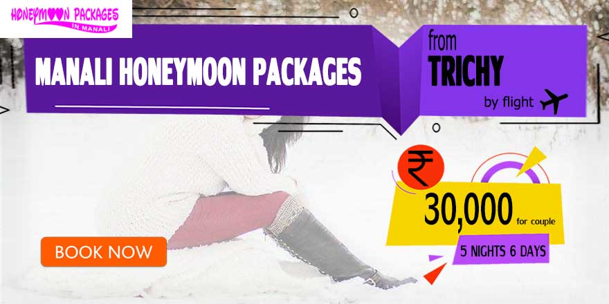Manali couple package from Trichy